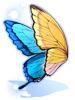 Costume Ulysses Butterfly Wings